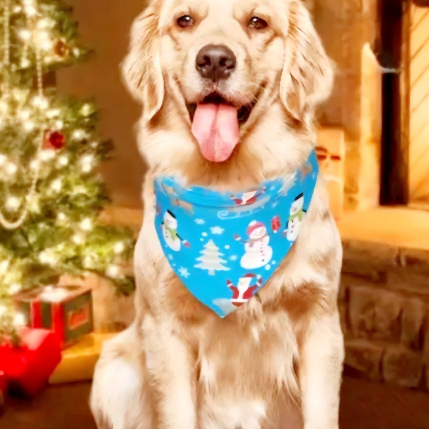 Honden bandana