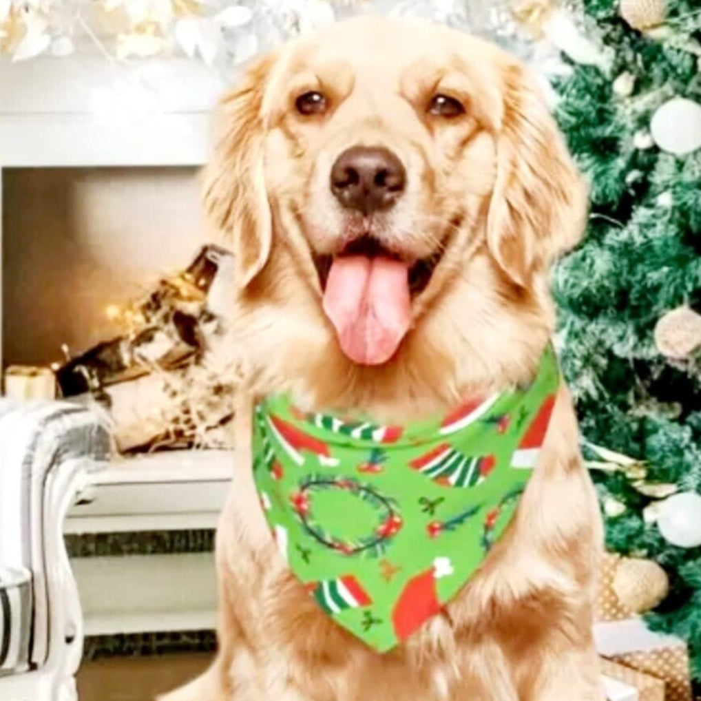 Honden bandana
