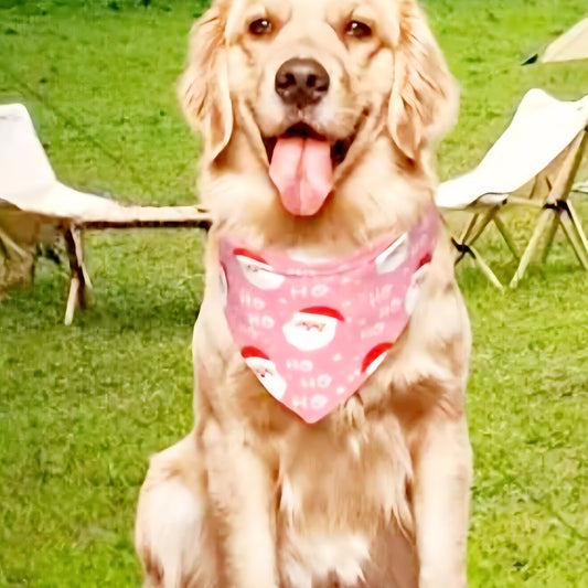 Honden bandana